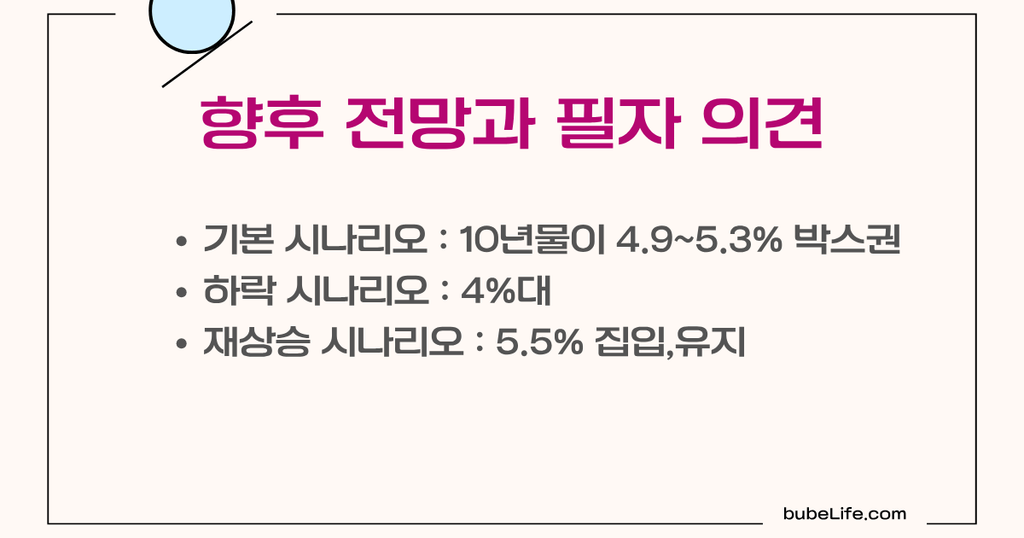 금리 향후 전망과 필자의견